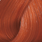 47 Red Brown