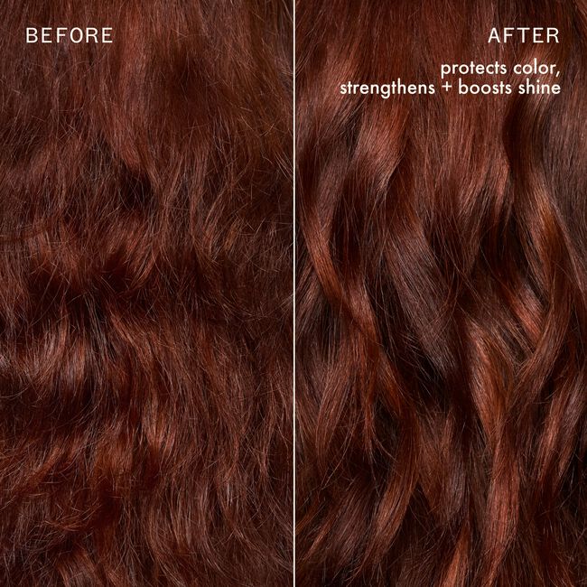 The Protector Color Protect + Strengthen Treatment