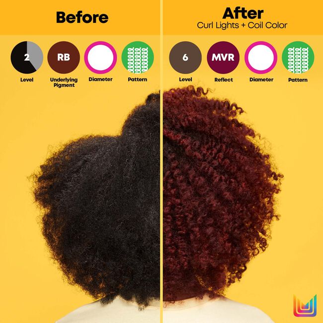 4VV Dark Brown Violet Violet Coil Color