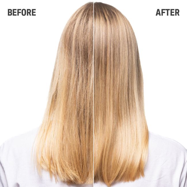 Dualsenses Blondes & Highlights Duo