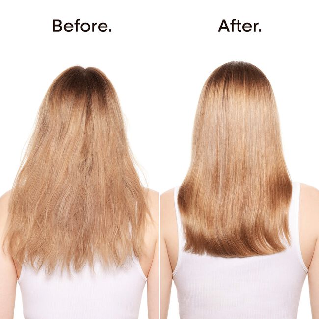Absolut Repair Protein Treatment Mask for Damaged Hair