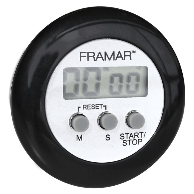 Digital Timer