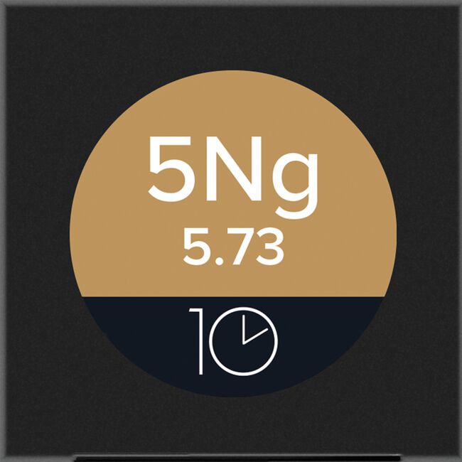 5NG Natural Gold The Color 10 Permanent Cream Hair Color
