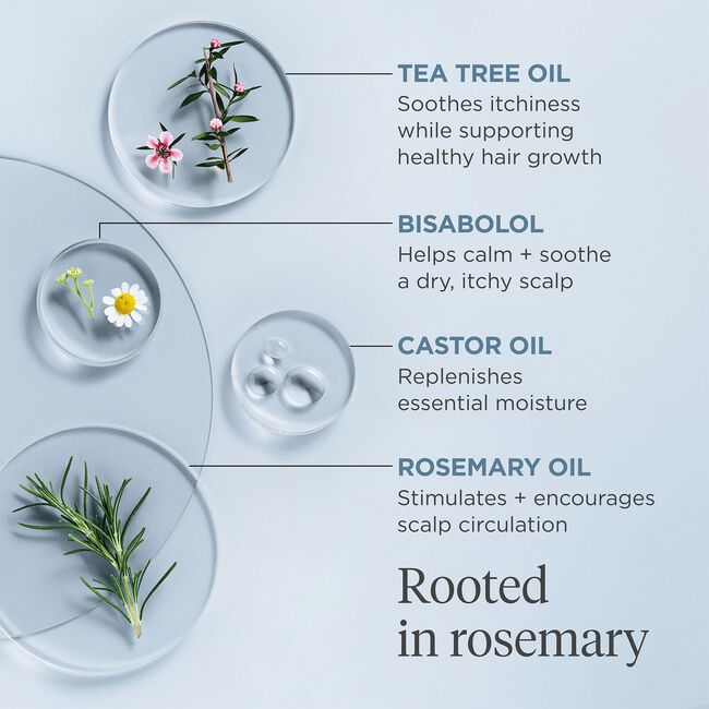 Scalp Revival Rosemary Pre-Wash Oil