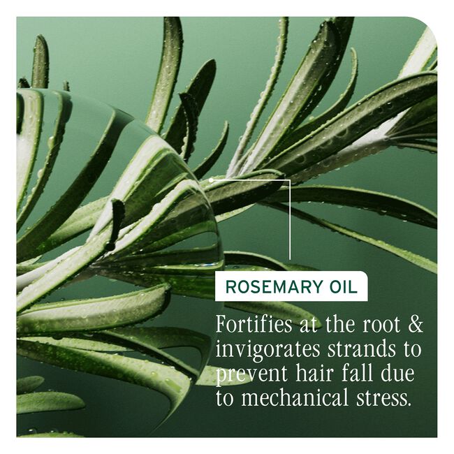 Full Rescue Densifying Leave-In Spray