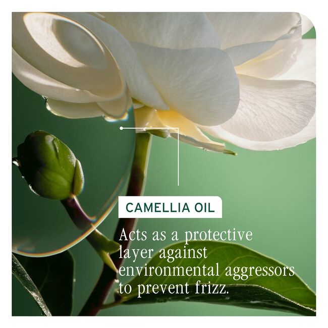 SmoothProof Leave-In Cream for Frizzy Hair