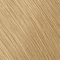10GN Extra Light Gold Natural Blonde