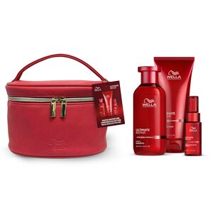 Ultimate Repair Holiday Box