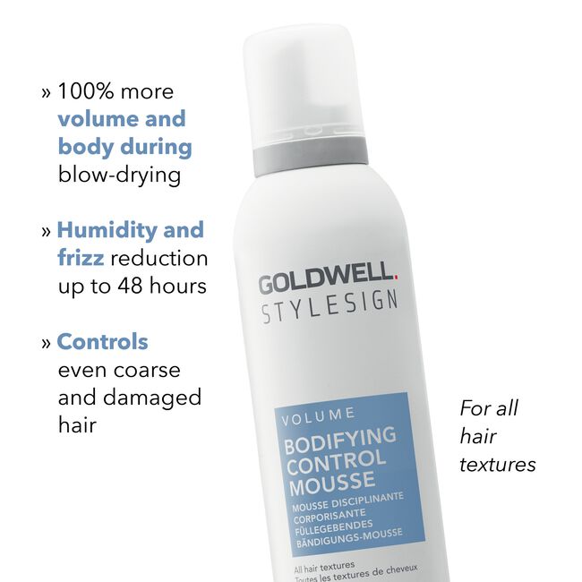 StyleSign Bodifying Control Mousse Duo
