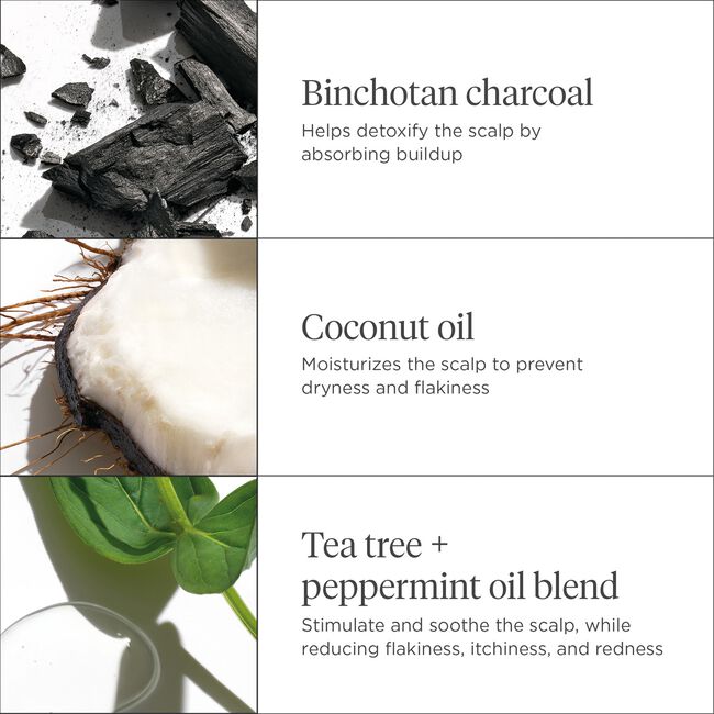 Scalp Revival Charcoal & Coconut Oil Micro-Exfoliating Shampoo
