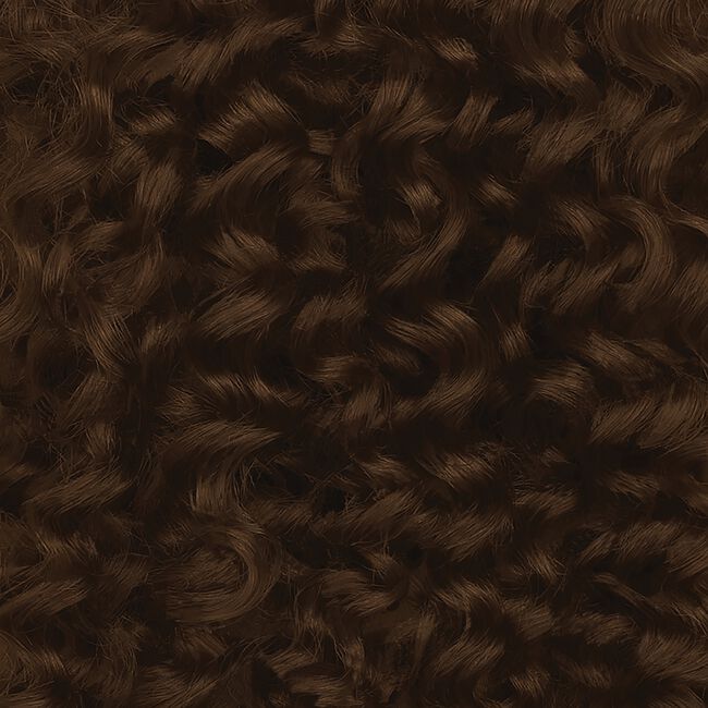 6N Light Brown Neutral Coil Color