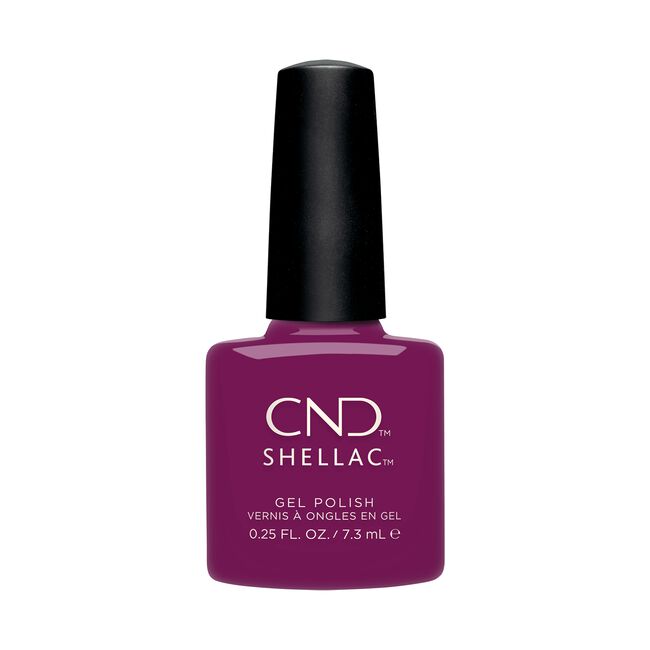 Treasured Moments Shellac Collection