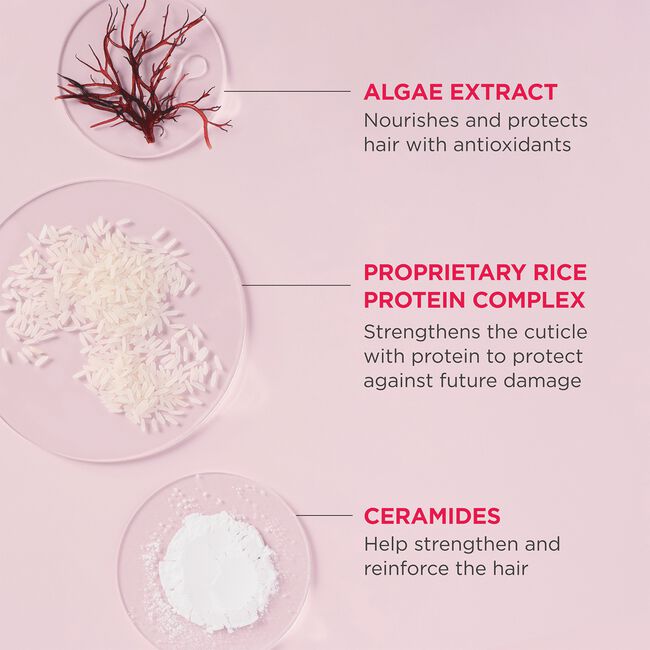 Don't Despair, Repair! Rich Rice Shampoo Concentrate
