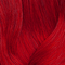 HD RR
