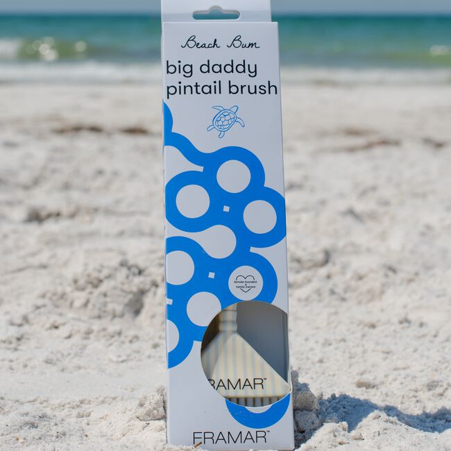 Beach Bum Pintail Big Daddy Brush Set