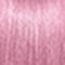 Pink Flamingo