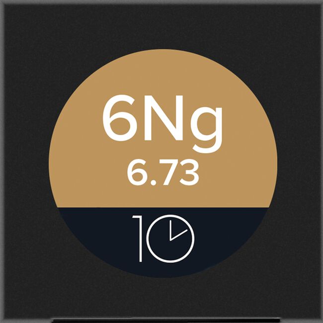 6NG Natural Gold The Color 10 Permanent Cream Hair Color