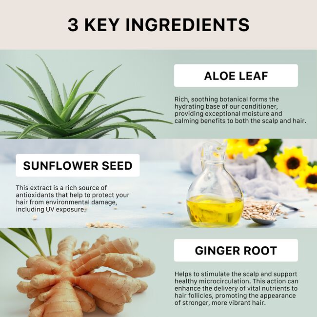 Renew Healing Conditioner