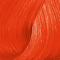 43 Red Gold