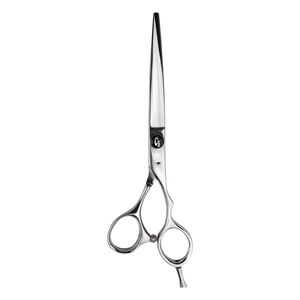 6" Shear