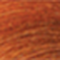 9.34GC Very Light Golden Copper Blonde