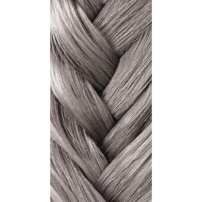 Silver Artistic Toner  Demi-Permanent Color