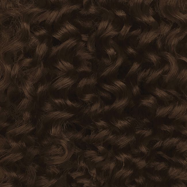 6A Light Ash Brown Coil Color