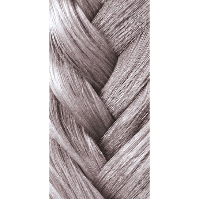 Violet Blonde Artistic Toner Demi-Permanent Color