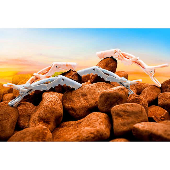 Canyon Skies Croc Clips