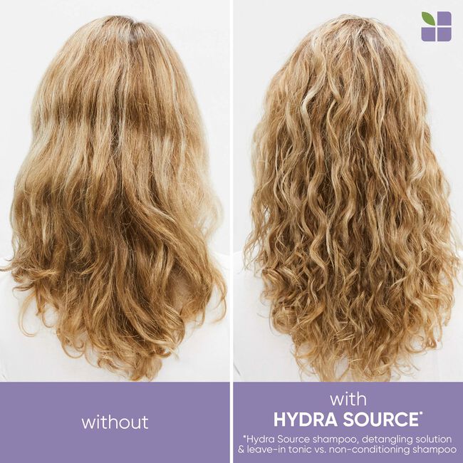 HydraSource Detangling Solution for Dry Hair
