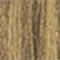 9G Very Light Gold Blonde