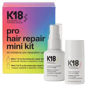 Professional Hair Repair Mini Kit