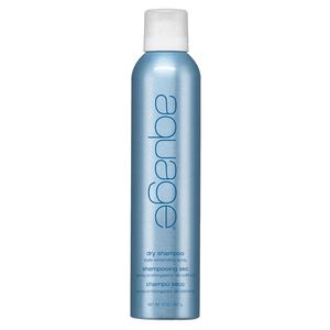 Dry Shampoo Style Extending Spray