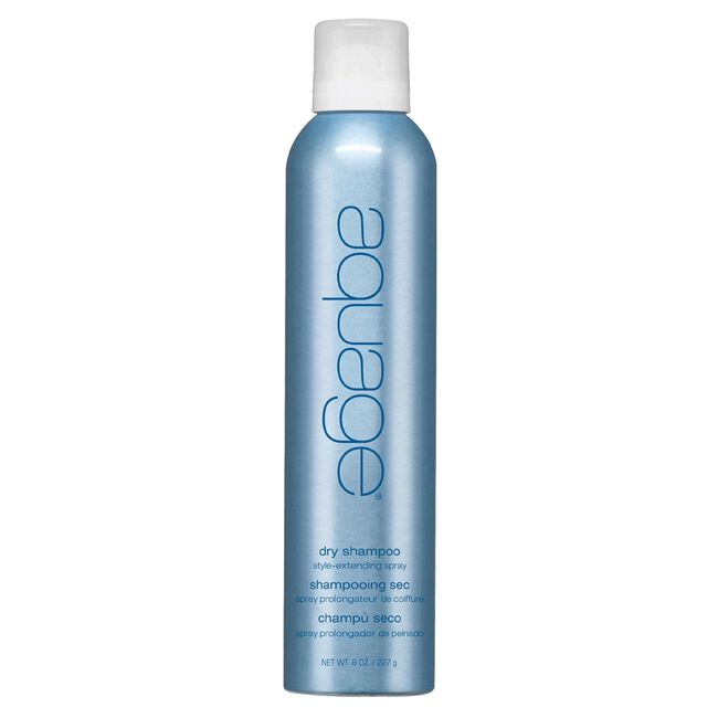 Dry Shampoo Style Extending Spray