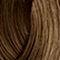 6NTL Dark Neutral Lowlight