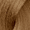 7.31/7GB Warm Browns