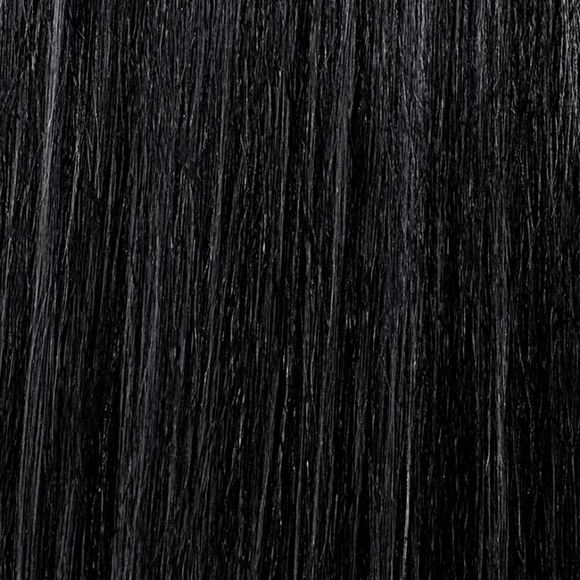 Ionic Permanent Color 1N Black