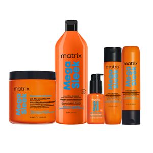 Mega Sleek Wash & Seal Intro Kit