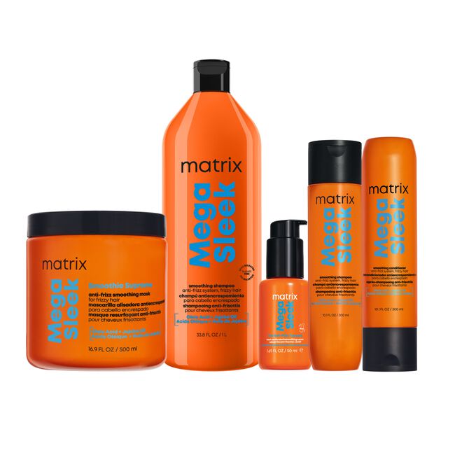 Mega Sleek Wash & Seal Intro Kit