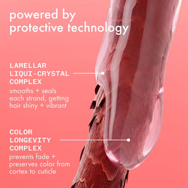 The Protector Color Protect + Strengthen Treatment