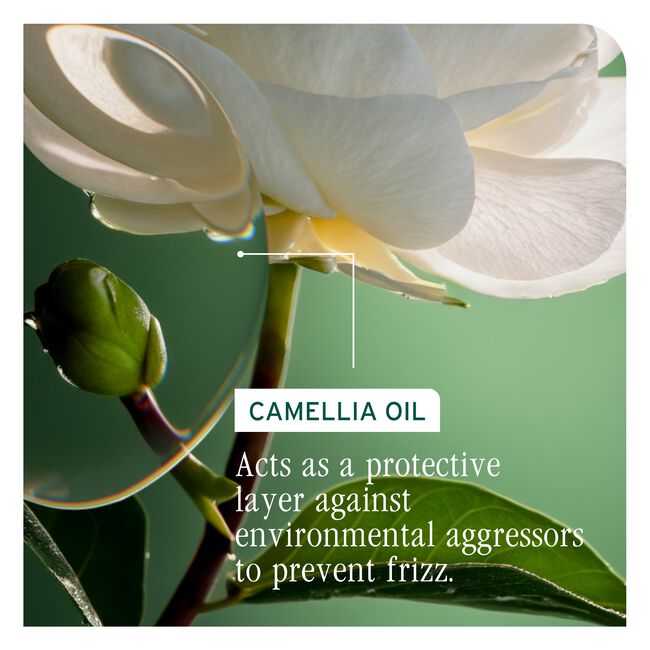 SmoothProof Leave-In Cream for Frizzy Hair
