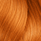 8.43 Copper Gold Blonde