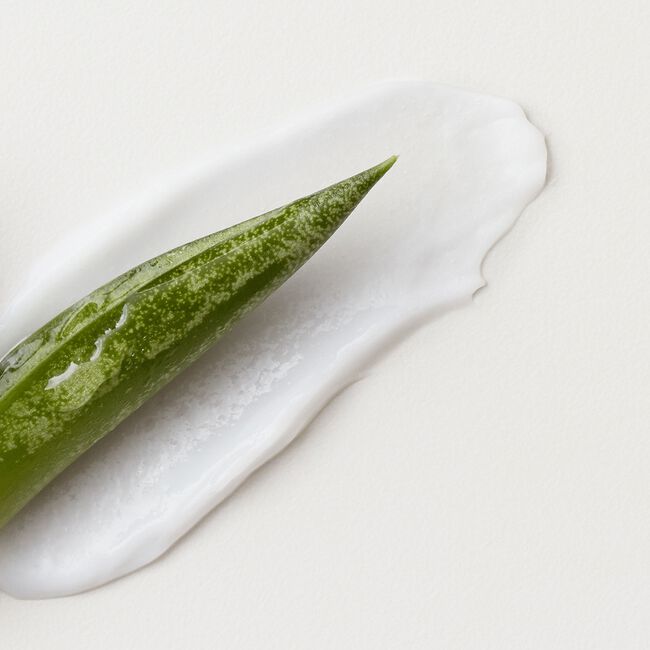Fast Food Leave On Conditioner