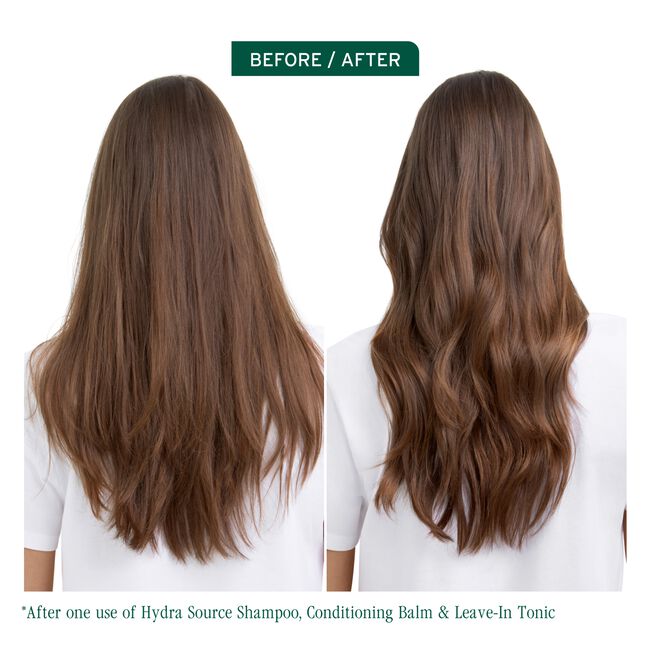 HydraSource Daily Leave-In Tonic for Dry Hair