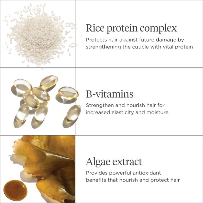 Don't Despair, Repair! MegaStrength+ Rice Water Protein & Moisture Strengthening Treatment