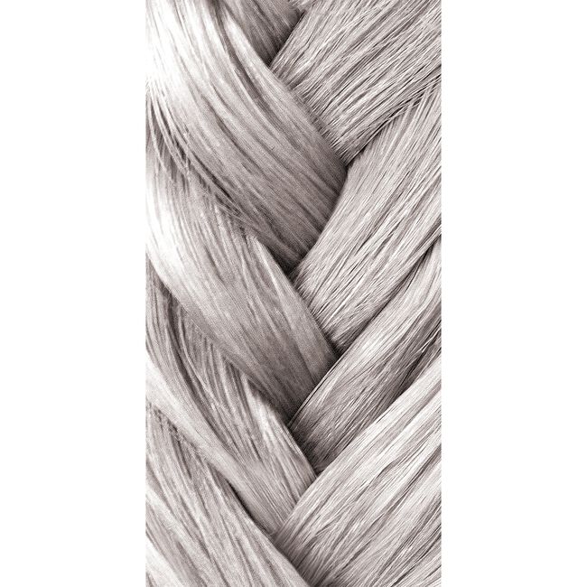 Silver Artistic Toner  Demi-Permanent Color