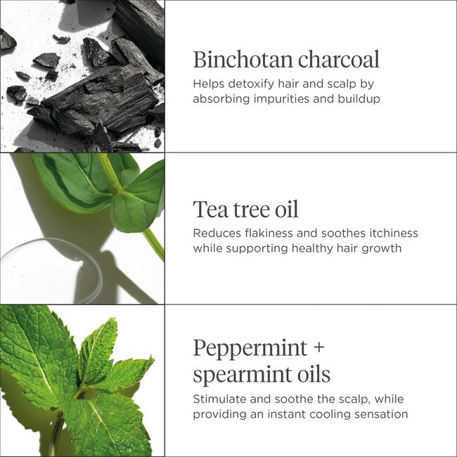 Scalp Revival Charcoal & Tea Tree Cooling Hydration Scalp Mask