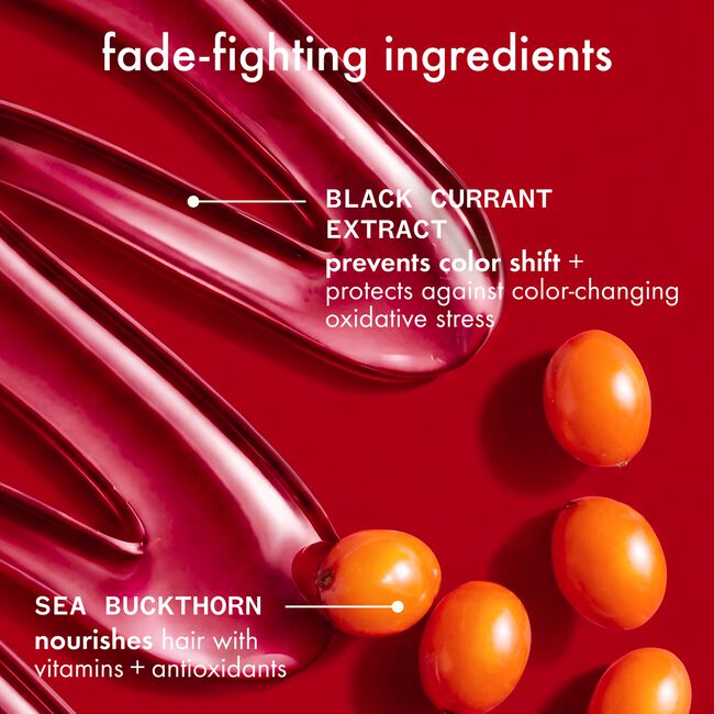 The Protector Color Protect + Strengthen Treatment