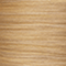 10NNG Natural Natural Gold Lightest blonde
