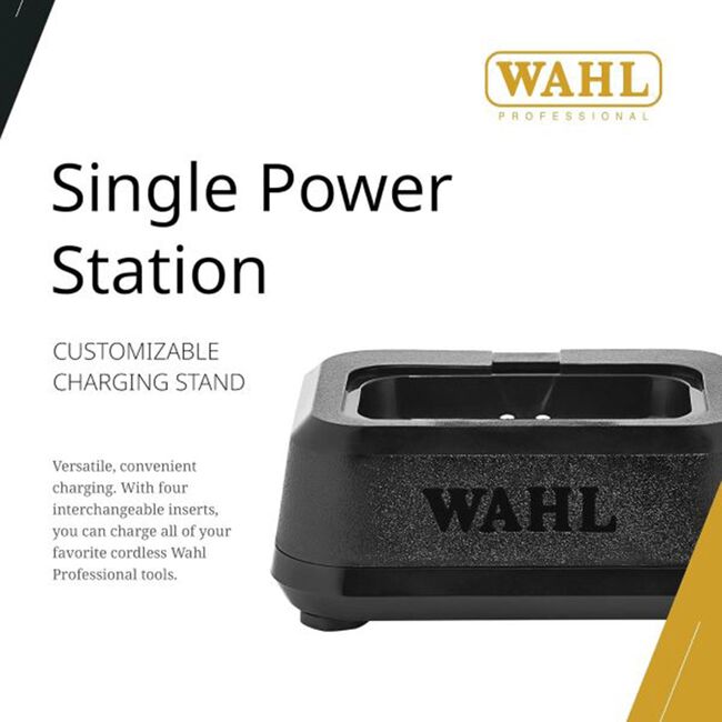 Single Power Station